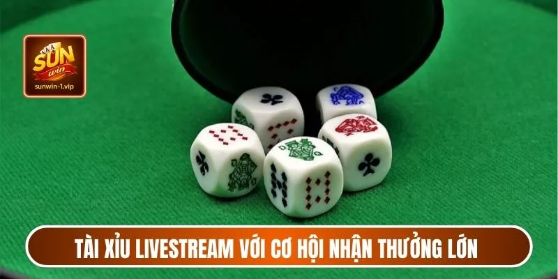 anh-dai-dien-tai-xiu-livestream