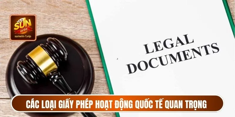 Các loại giấy phép hoạt động quốc tế quan trọng