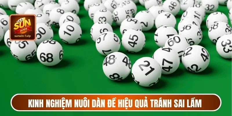 Kinh nghiệm nuôi dàn đề hiệu quả giúp người chơi tránh sai lầm