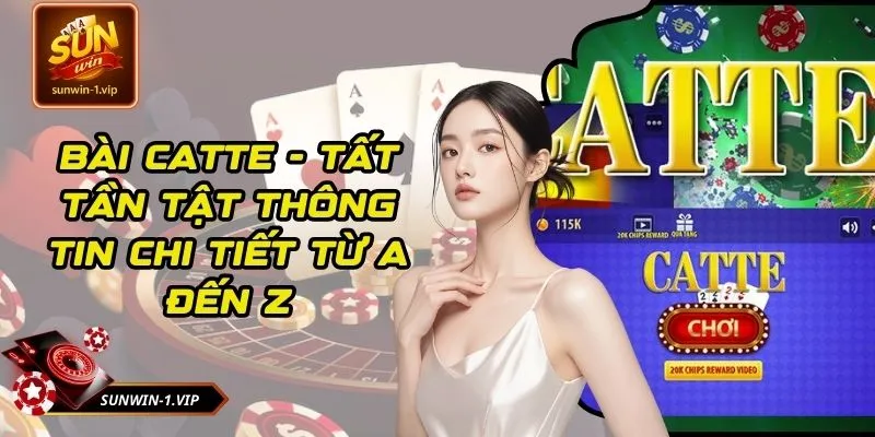 Bài Catte - Tất Tần Tật Thông Tin Chi Tiết Từ A Đến Z