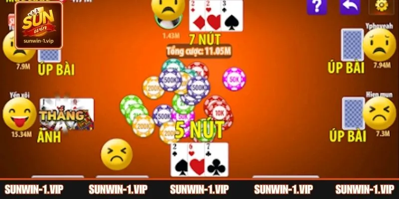 Giới thiệu nhanh về cào tố là gì?