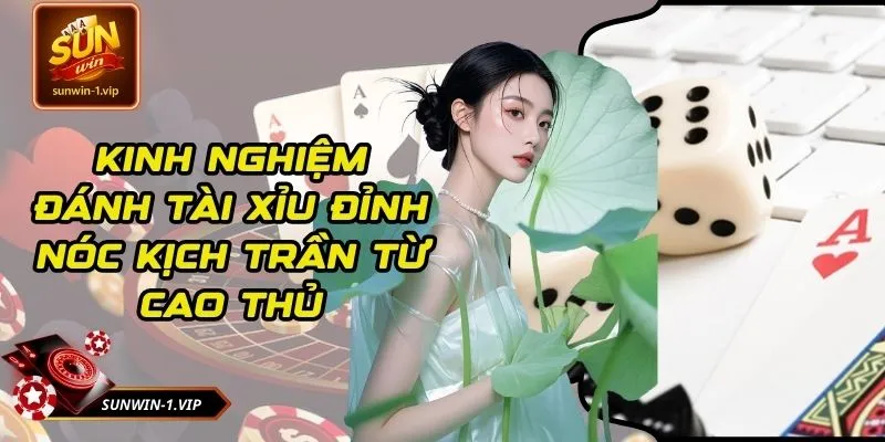 Kinh Nghiệm Đánh Tài Xỉu Đỉnh Nóc Kịch Trần Từ Cao Thủ
